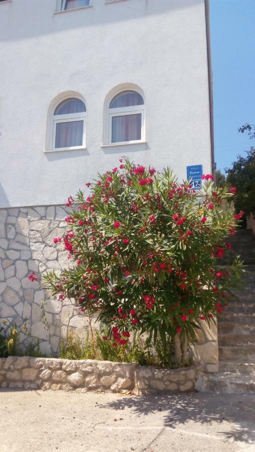 Apartments Rosa Preko Zewnętrze zdjęcie